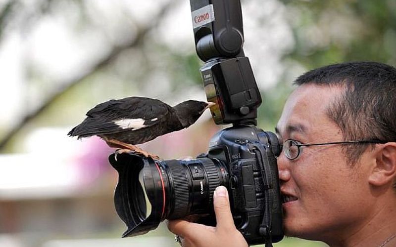 Ptič in fotograf.jpg