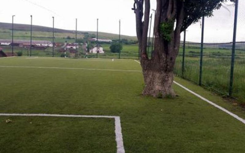 PAY-Tree-on-football-pitch.jpg