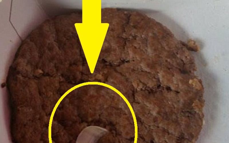 noht hamburger.jpg