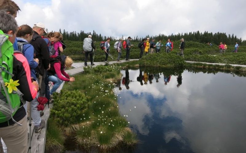 _lovrenska_j___2015_10__1_.jpg