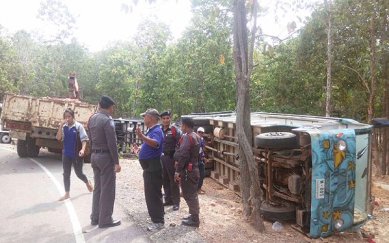 zoo živalski vrt nesreča khon kaen