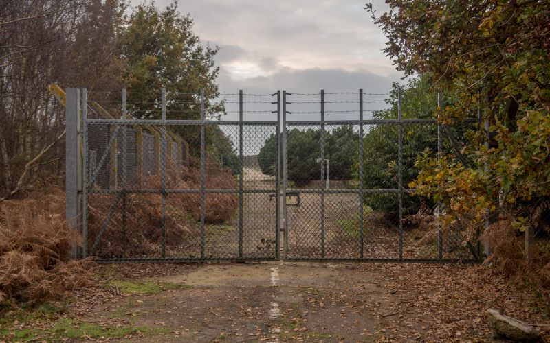Woodbridge, gozd Rendlesham