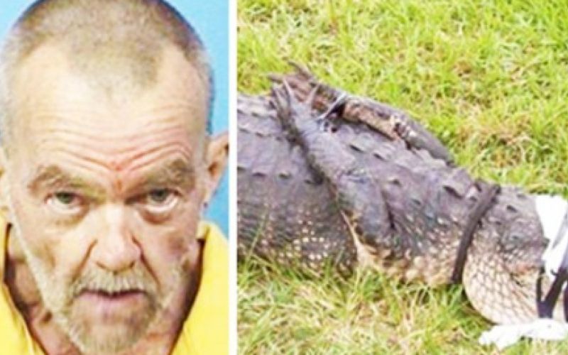 man-has-sex-with-alligator-558x279.jpg
