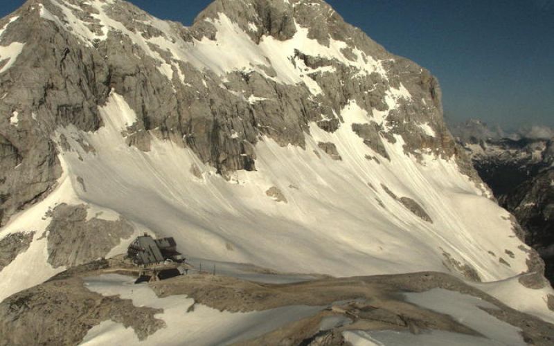 ledenik triglav triglavski zeleni cvet