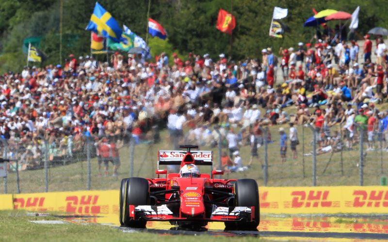 vettel.jpg