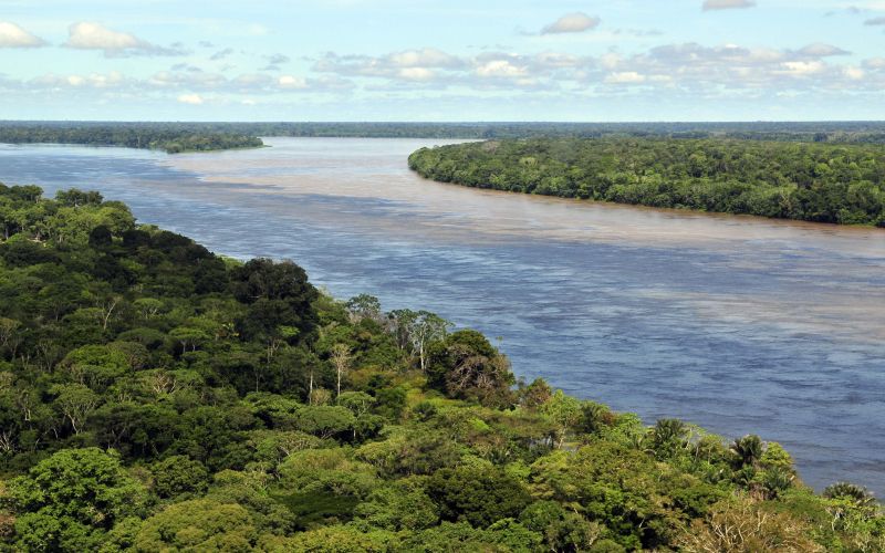 Amazonija, Amazonka