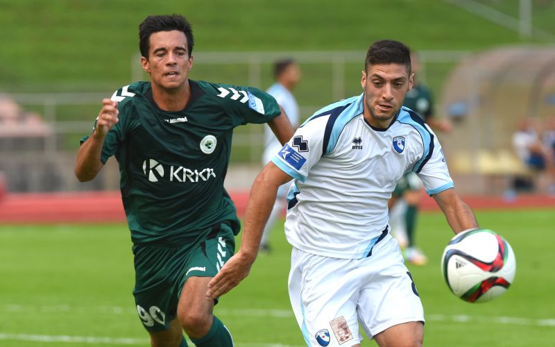 krka gorica