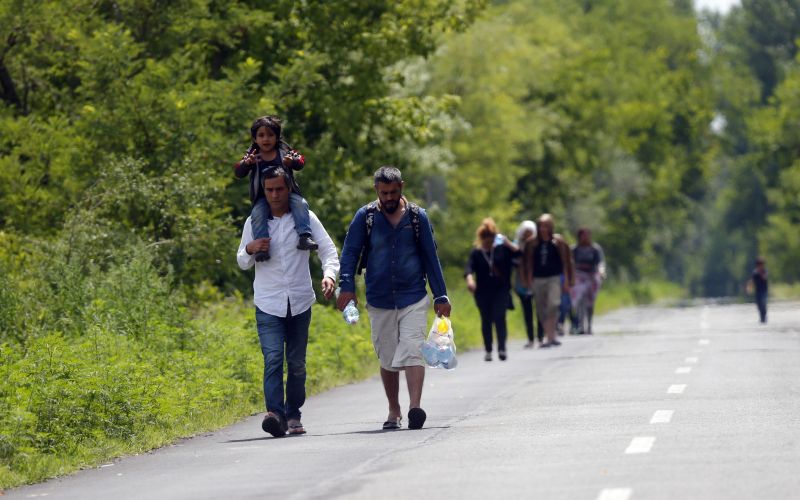 migrant, sirci.jpg