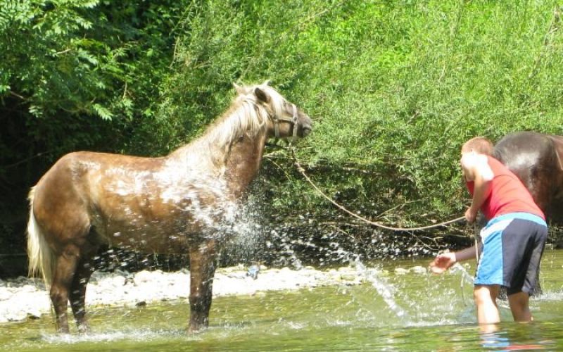 kolpa.jpg