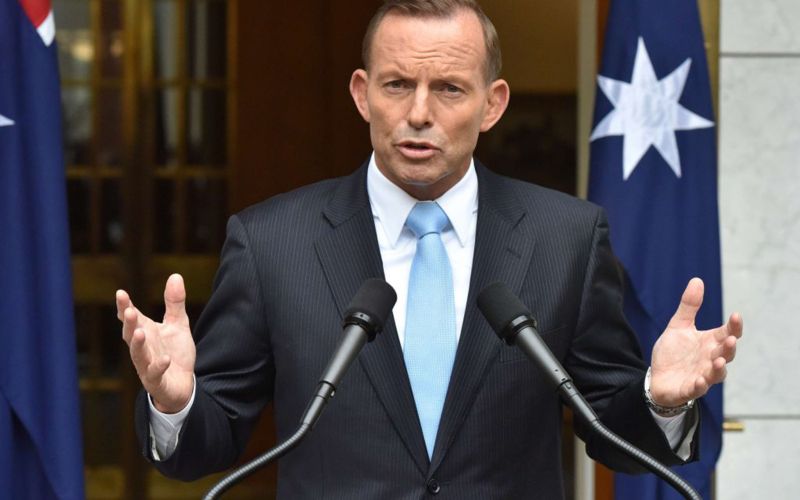 abbott