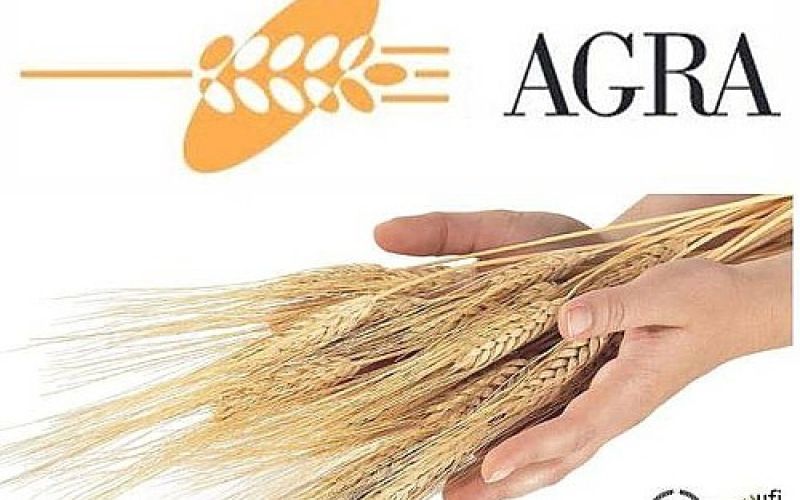 agra.jpg