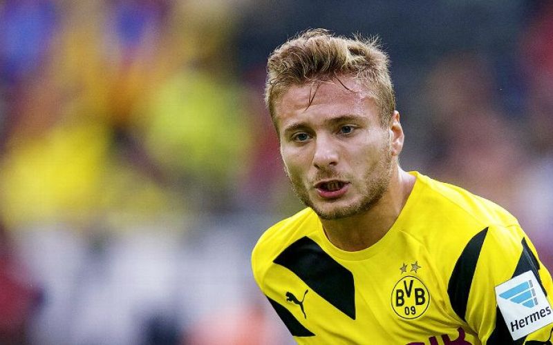 immobile.jpg