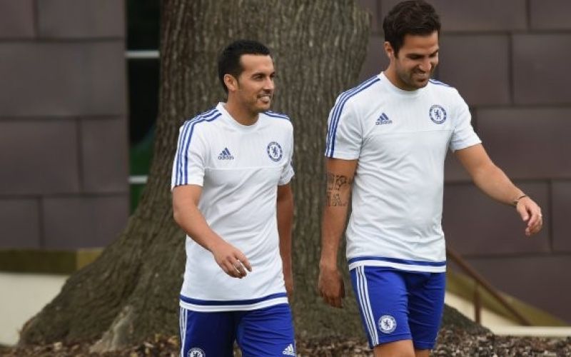 pedro-trains.img.png