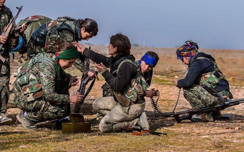 ypj.jpg