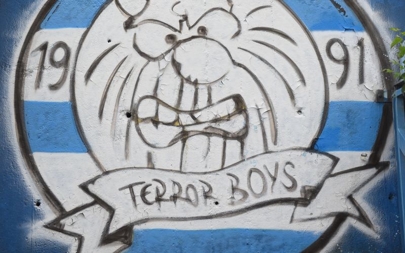 terror boys nm.JPG