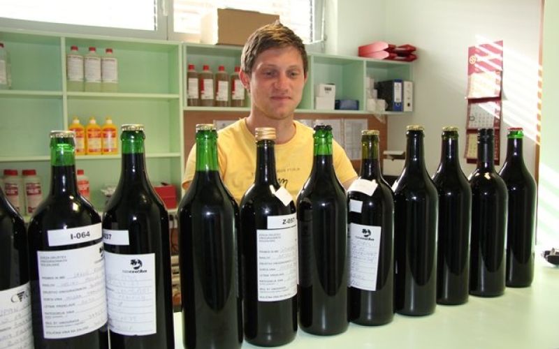 ocenjevanje_teden_cvicka.jpg