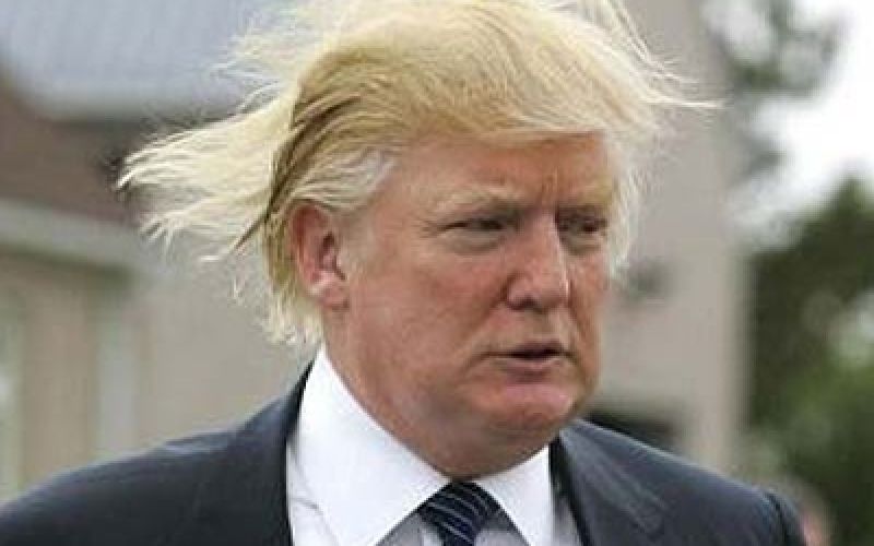 Donald_Trump_hair.jpg