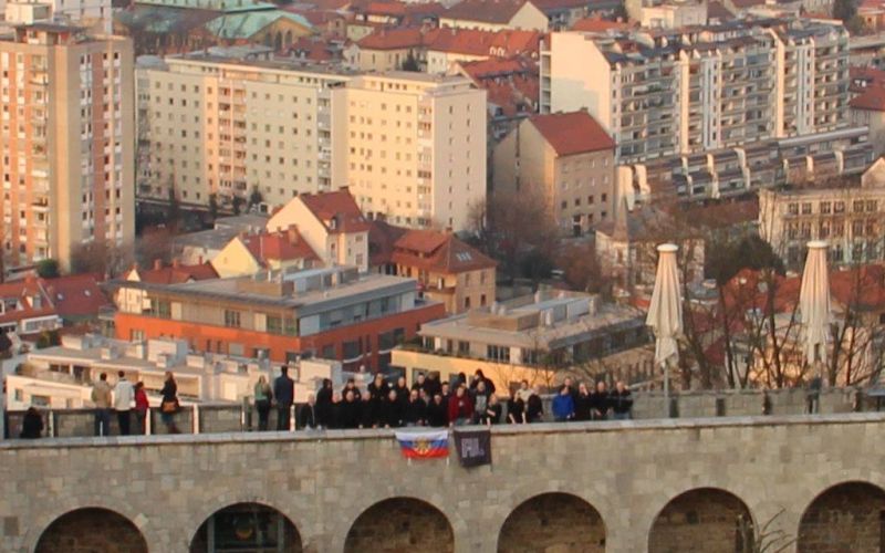 neonaciji, radikalna, ljubljana