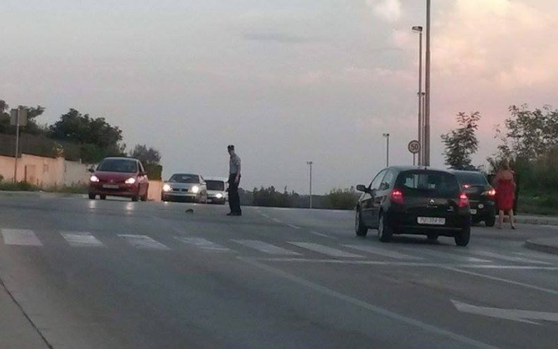 policist pula pulj.jpg