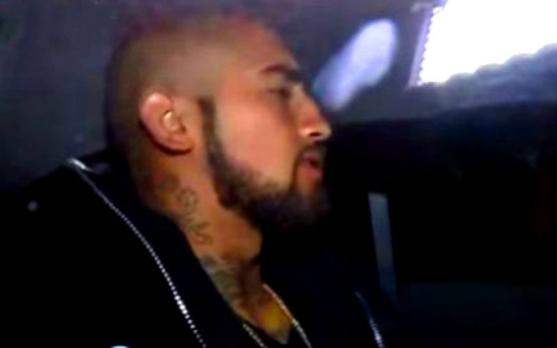 vidal.jpg