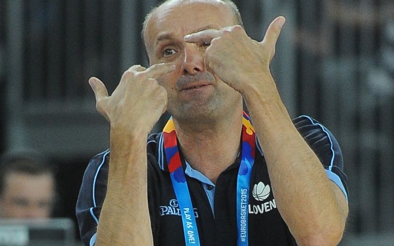 zdovc.jpg