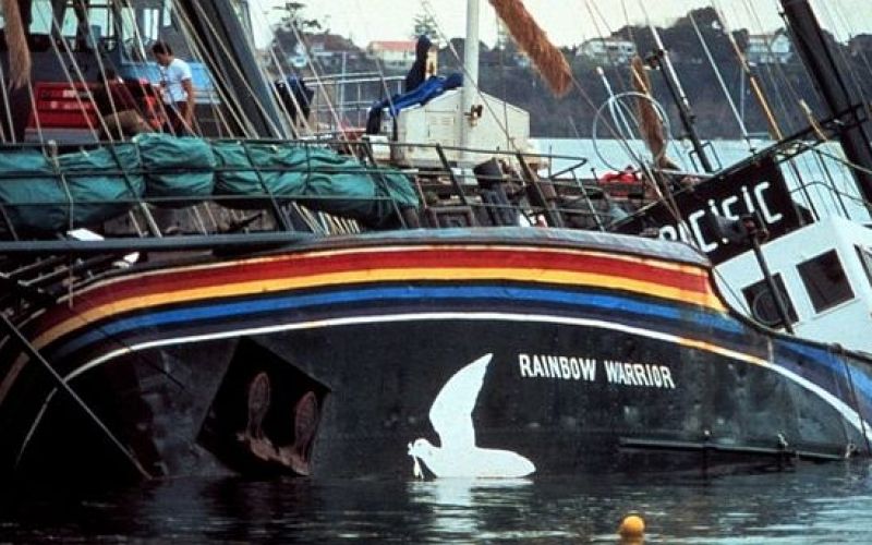 mavrični bojevnik, greenpeace.jpg