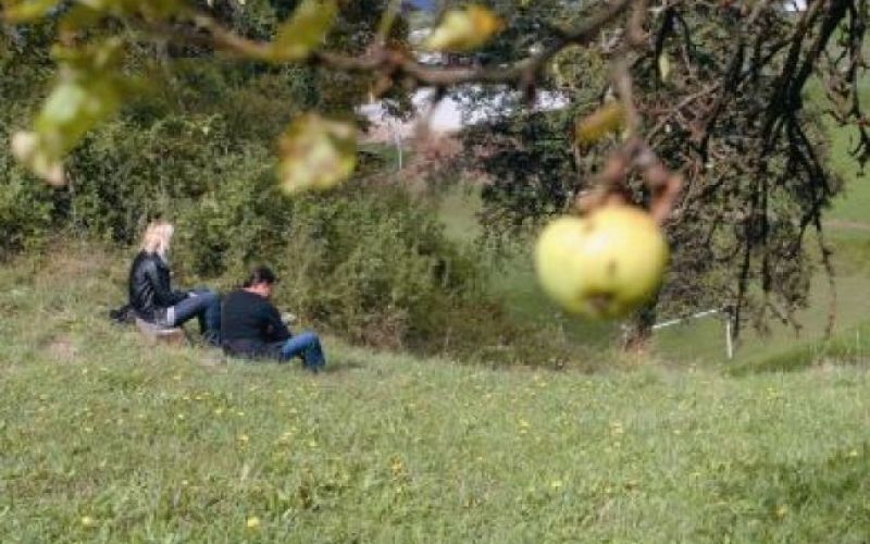 Zdravilne točke na Slivni