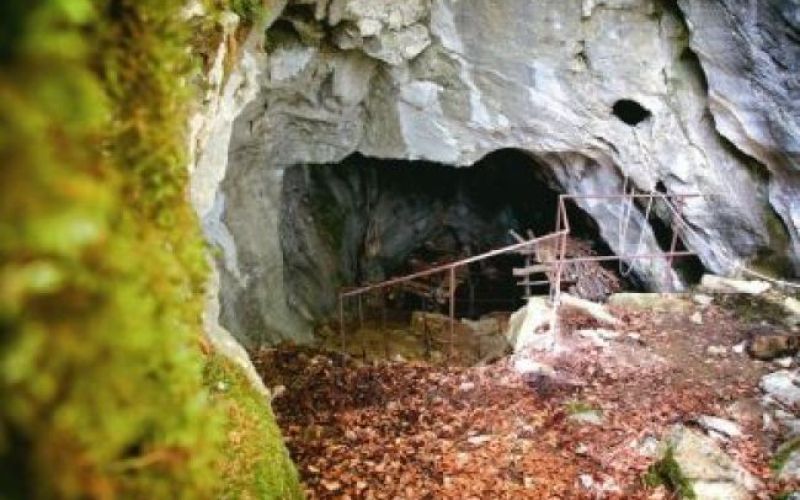 Čudodelec iz Solčave