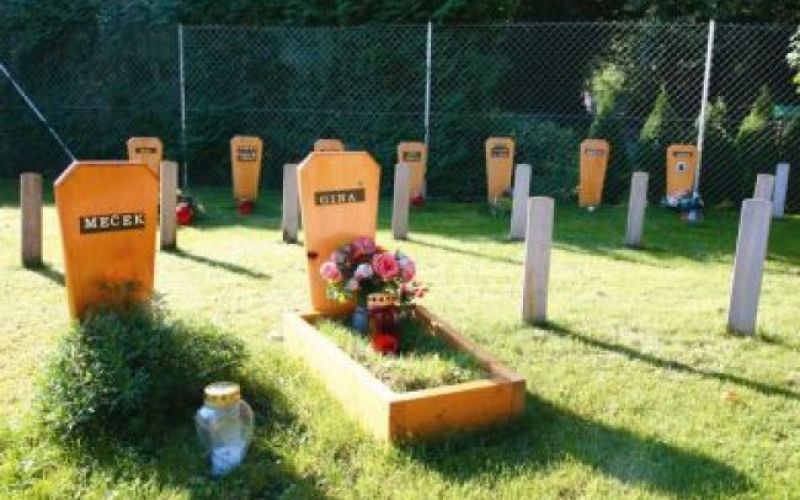 Počivaj v miru, prijatelj