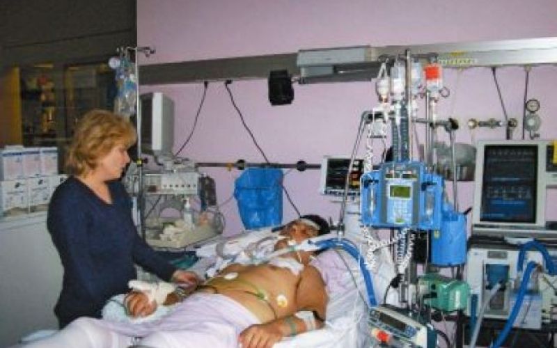 Srce v krempljih demokracije