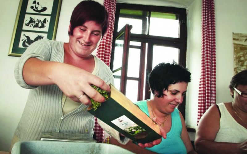 Socialno podjetništvo v slovenski praksi