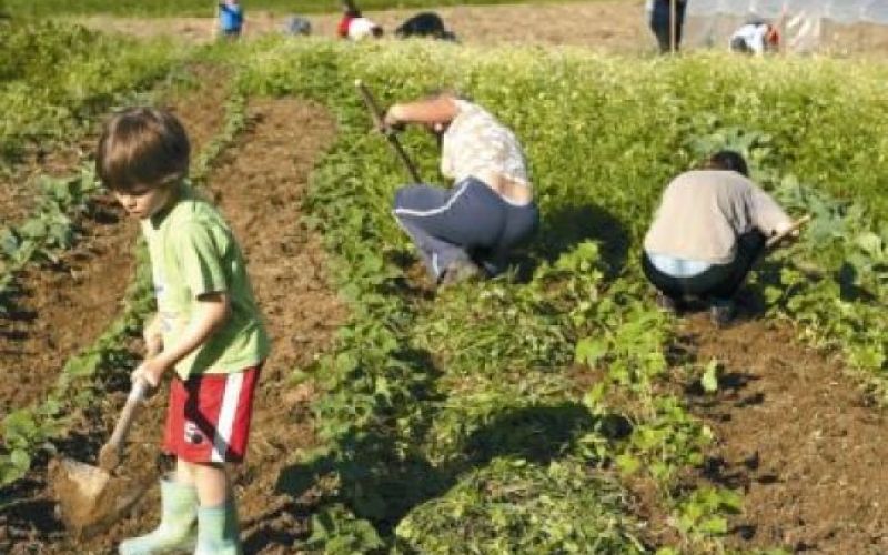 Molitev za dobre pridelke