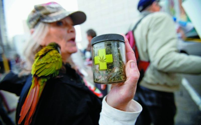 Legalizacija marihuane v ZDA