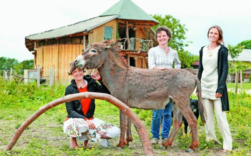 Terra Anima, ranč konjesrčnih žensk
