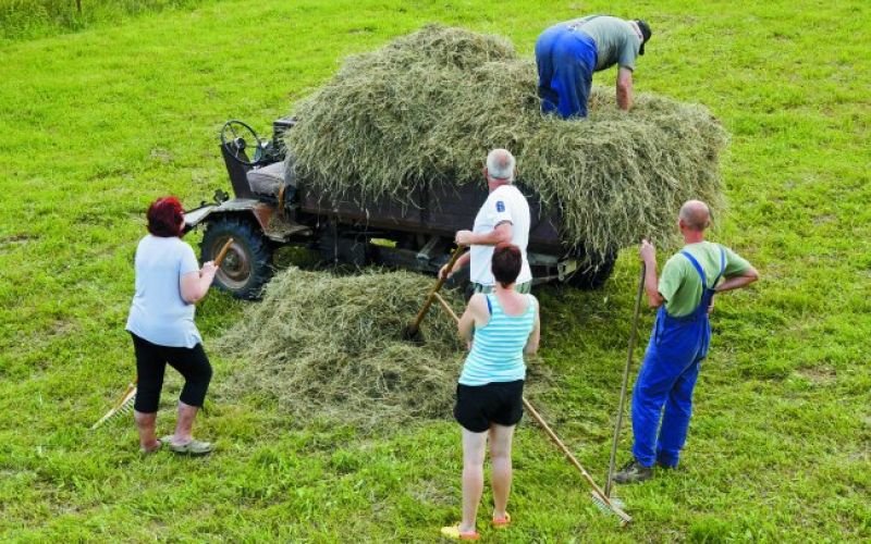 Bo upokojenec smel upokojencu kidati sneg?