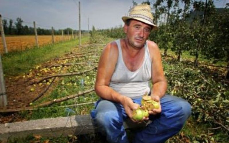 Toča je razdejala Kozjansko