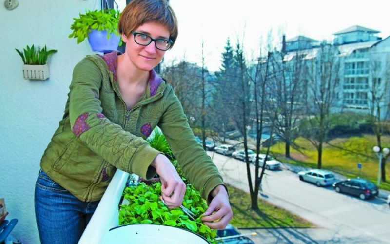 Balkon lahko nadomesti manjši vrt