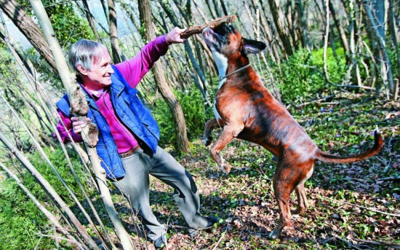 Zemlja pripravlja nove temelje