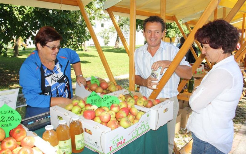 img__x_ekopraznik.jpg