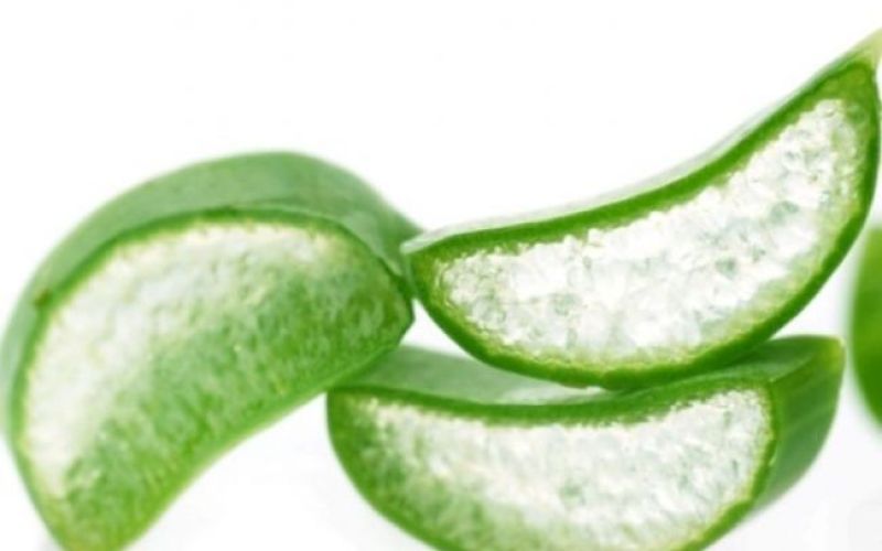 Vsestranska aloe vera