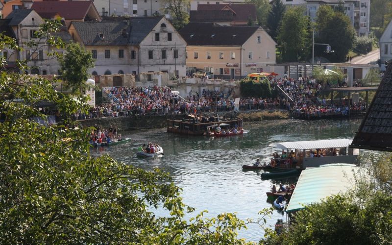 krka_zivi_01.jpg