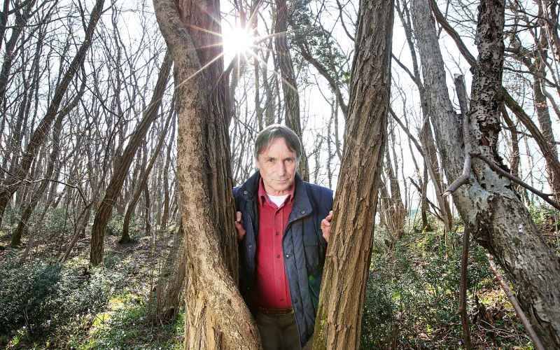 Umetnik in zdravitelj zemlje - Marko Pogačnik.