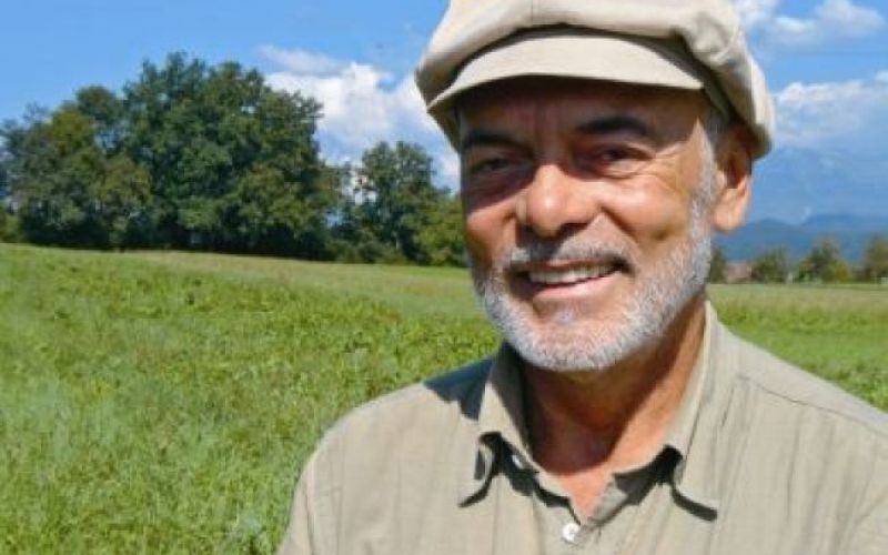 Mačke - serijski morilci milijonov ptic