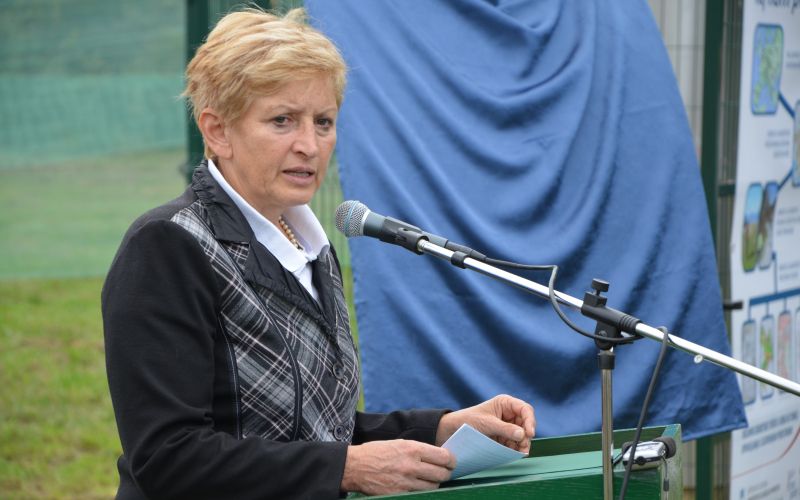 Irena Majcen