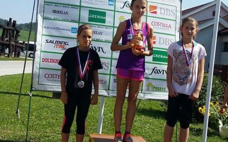 _ajdina_zmaga_v_kostanjevici.jpg