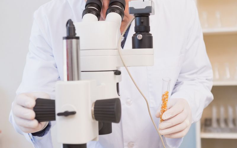 V laboratoriju ustvarili človeško spermo