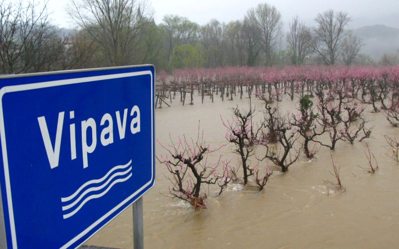 Reka Vipava ob deževju ne prizanaša.