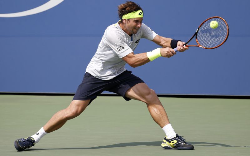 david ferrer.jpg