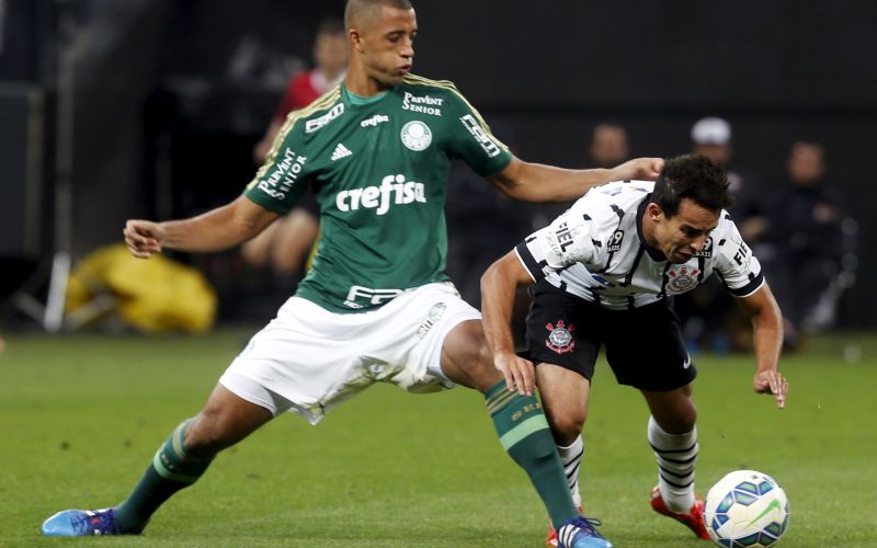 palmeiras re.jpg