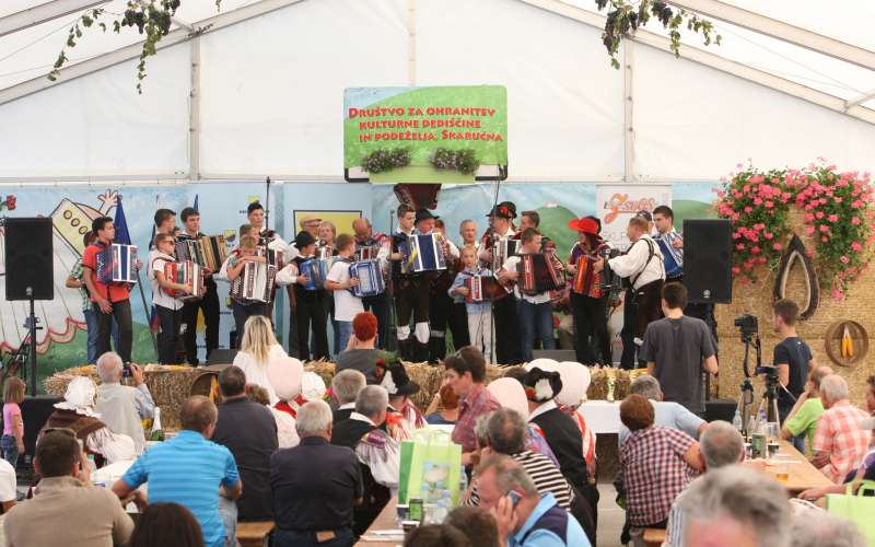 Skaručna 2015